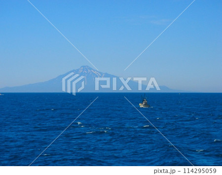 フェリー 礼文島~稚内(利尻島) フェリー 礼文島~稚内(利尻島) 114295059