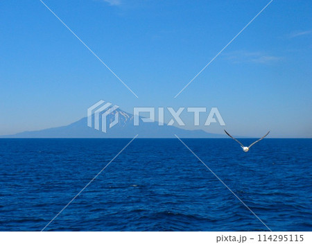 フェリー 礼文島~稚内(利尻島) フェリー 礼文島~稚内(利尻島) 114295115