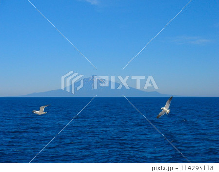 フェリー 礼文島~稚内(利尻島) フェリー 礼文島~稚内(利尻島) 114295118