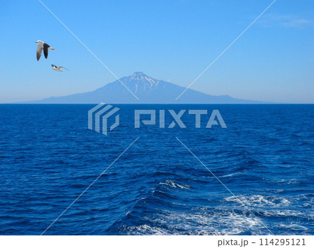 フェリー 礼文島~稚内(利尻島) フェリー 礼文島~稚内(利尻島) 114295121