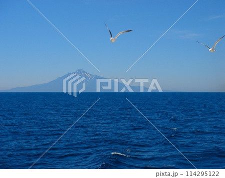 フェリー 礼文島~稚内(利尻島) フェリー 礼文島~稚内(利尻島) 114295122