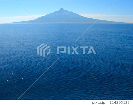 フェリー 礼文島~稚内(利尻島) フェリー 礼文島~稚内(利尻島) 114295125