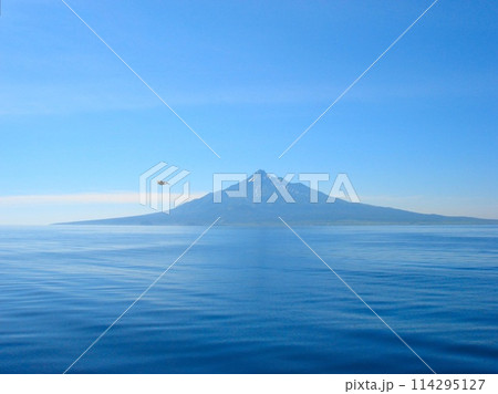 フェリー 礼文島~稚内(利尻島) フェリー 礼文島~稚内(利尻島) 114295127