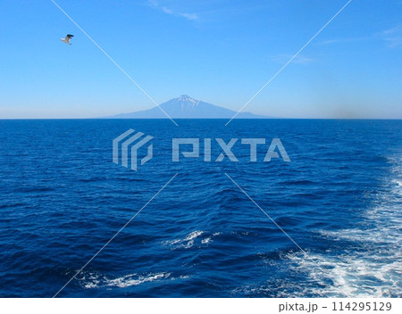 フェリー　礼文島～稚内(利尻島) 114295129