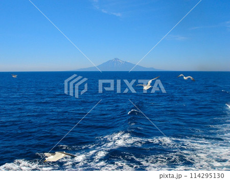 フェリー 礼文島~稚内(利尻島) フェリー 礼文島~稚内(利尻島) 114295130