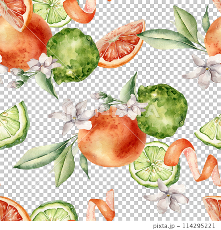 Jasmine flowers with citrus fruits grapefruit and bergamot watercolor seamless pattern isolated. Hand drawn summer plants orange and green colors in botanical sketch style for wrapping paper, textile Jasmine flowers with citrus fruits grapefruit and bergamot watercolor seamless pattern isolated. Hand drawn summer plants orange and green colors in botanical sketch style for wrapping paper, textile 114295221