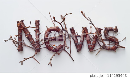 The word News created in Maple Twig Letters. 114295448