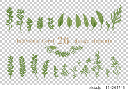 Set with leaves and greens. Vintage botanical illustration. Eucalyptus, eucalyte seeds, boxwood. Art line style. Green. 114295746