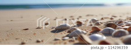A lot of seashells scattered on the sandy expanse of the pristine beach A lot of seashells scattered on the sandy expanse of the pristine beach 114296359