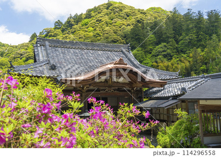 長谷寺 普門院の「不動堂」 新緑の季節 長谷寺 普門院の「不動堂」 新緑の季節 114296558