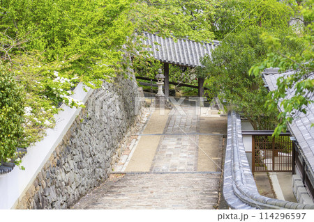 長谷寺 満開の大手毬と石段の参道 長谷寺 満開の大手毬と石段の参道 114296597