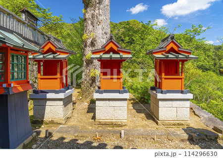 新緑に包まれた長谷寺　馬頭夫人社・八幡社・住吉社 114296630