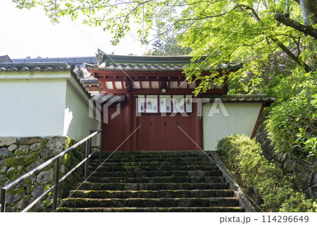長谷寺 本願院 石段の上にあるベンガラ色の門 長谷寺 本願院 石段の上にあるベンガラ色の門 114296649