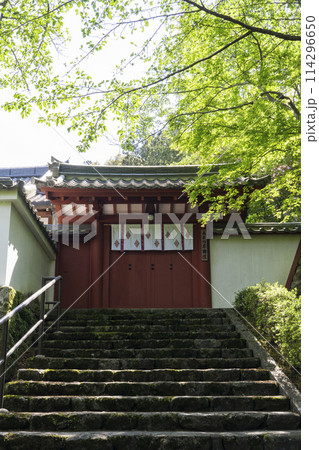 長谷寺　本願院　石段の上にあるベンガラ色の門 114296650