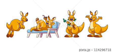 Cute kangaroo animals set on white background Cute kangaroo animals set on white background 114296718