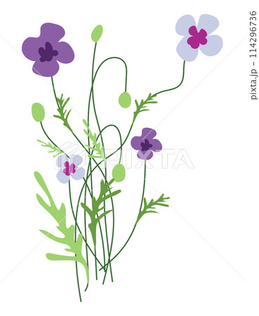 Purple meadow flowers in flat design. Springtime blooming wildflowers. Vector illustration isolated. Purple meadow flowers in flat design. Springtime blooming wildflowers. Vector illustration isolated. 114296736