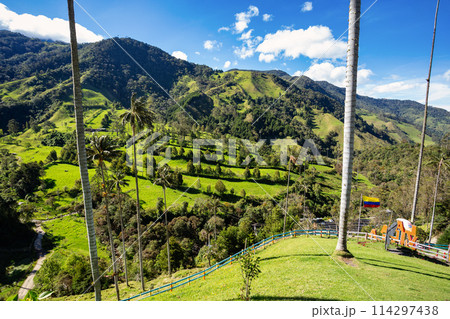 Nature landscape of tall wax palm trees in Valle del Cocora Valley. Salento, Quindio department. Colombia mountains landscape. Nature landscape of tall wax palm trees in Valle del Cocora Valley. Salento, Quindio department. Colombia mountains landscape. 114297438
