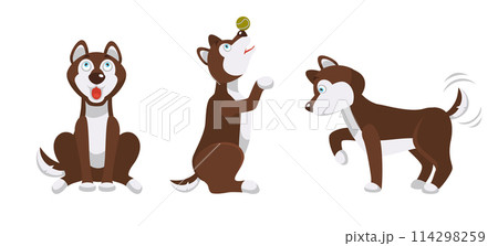 Husky Dog Activities Cute Illustration 114298259