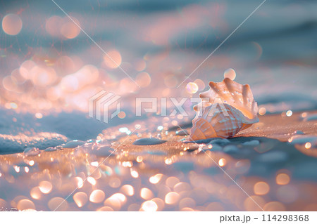 浜辺の貝殻 浜辺の貝殻 114298368