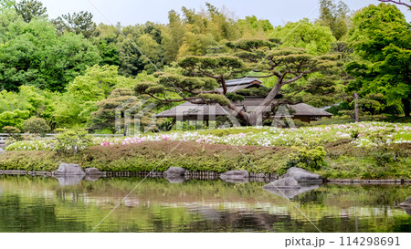 日本庭園と古民家の風景 日本庭園と古民家の風景 114298691