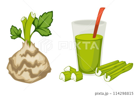 Vector Celery Root Juice Illustration 114298815