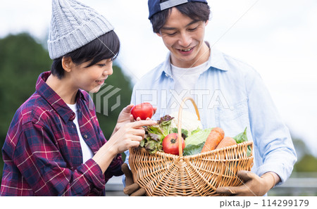 畑で野菜を収穫する男女 114299179