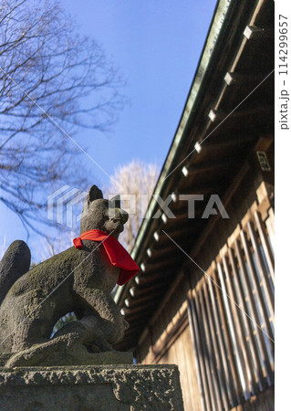 冬の青空と赤い涎掛けのコントラストが合っている狛狐・板橋区・清水稲荷 冬の青空と赤い涎掛けのコントラストが合っている狛狐・板橋区・清水稲荷 114299657