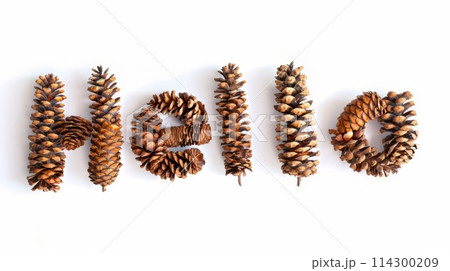 The word Hello created in Large Pinecone Letters. The word Hello created in Large Pinecone Letters. 114300209