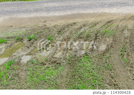 泥道に付いたタイヤの痕　Dirty country road with deep rut 114300428