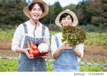 畑で野菜を収穫する男女 畑で野菜を収穫する男女 114300487