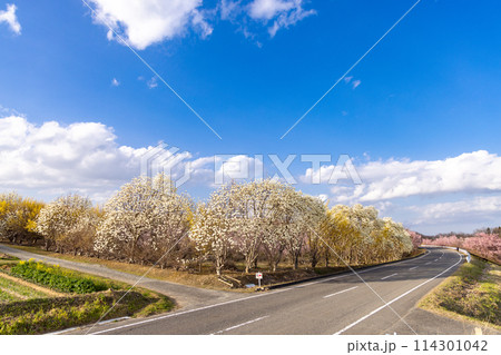花木団地の風景 花木団地の風景 114301042