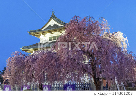 弘前の桜 弘前の桜 114301205