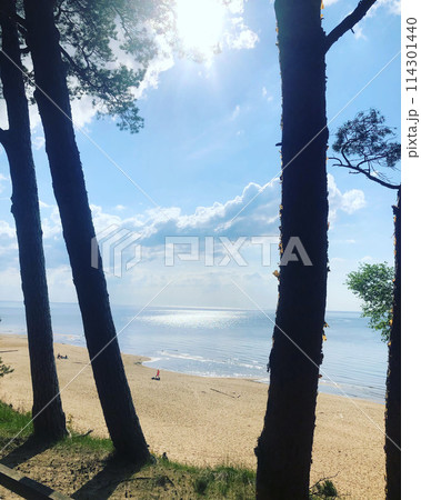 Baltic Sea beach Baltic Sea beach 114301440