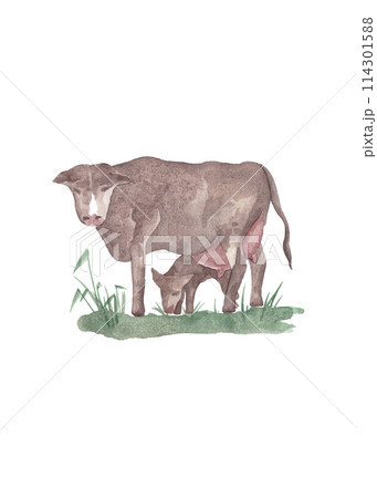 Cow with calf on the lawn. Countryside. Watercolor sketch for your design. Abstract colorful advertising concept. Summer isolated illustration. Modern Art 114301588