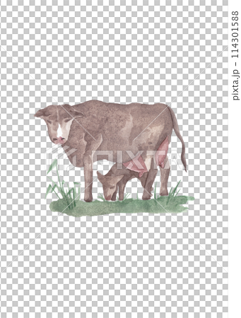 Cow with calf on the lawn. Countryside. Watercolor sketch for your design. Abstract colorful advertising concept. Summer isolated illustration. Modern Art 114301588