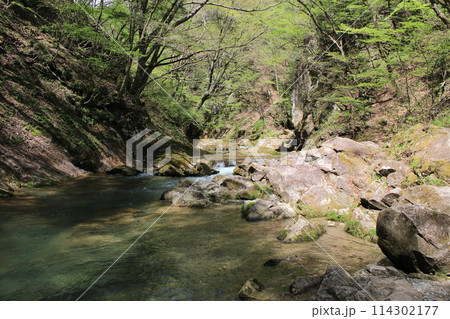 那須塩原　木の俣渓谷に流れる渓流 114302177