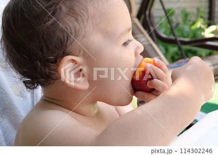 Adorable baby eating fresh orange peach. A cute little baby is sitting on the garden and is eating a peach 114302246