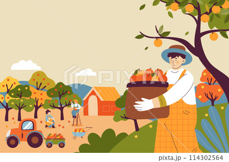 Hand drawn flat fruit harvest background with people collecting fruits from trees 114302564