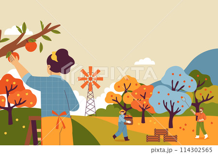 Hand drawn flat fruit harvest background with people collecting fruits from trees 114302565