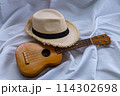 ハワイアンを奏でるウクレレ 114302698