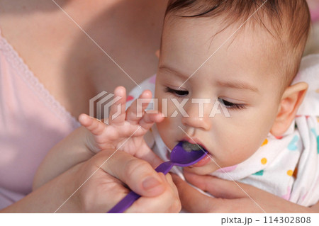 Portrait of little baby boy eating food. Baby with a spoon in feeding chair. Cute baby eating first meal Portrait of little baby boy eating food. Baby with a spoon in feeding chair. Cute baby eating first meal 114302808