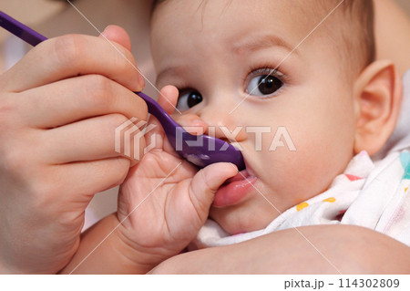 Portrait of little baby boy eating food. Baby with a spoon in feeding chair. Cute baby eating first meal Portrait of little baby boy eating food. Baby with a spoon in feeding chair. Cute baby eating first meal 114302809