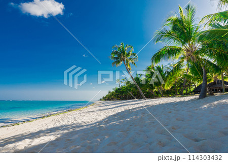 Tropical view of luxury beach on Mauritius island. 114303432