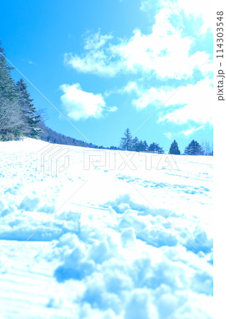 青空と新雪のゲレンデ 114303548
