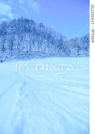 青空と新雪のゲレンデ 114303750