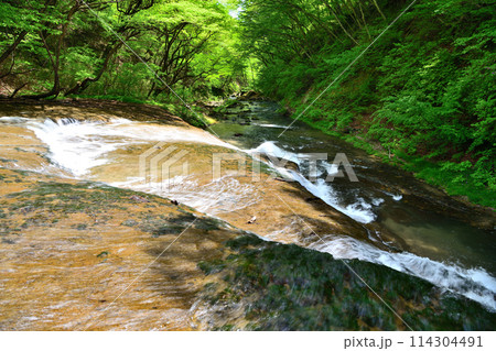 福島県白河郡 新緑の森林と熊のすべり台と黒土川 福島県白河郡 新緑の森林と熊のすべり台と黒土川 114304491