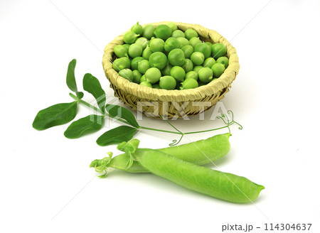 エンドウ豆 114304637
