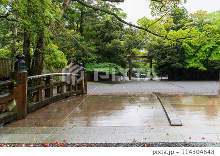 火除橋(ひよけばし)から見る第一鳥居【伊勢神宮・内宮】三重県伊勢市・2024年 火除橋(ひよけばし)から見る第一鳥居【伊勢神宮・内宮】三重県伊勢市・2024年 114304648