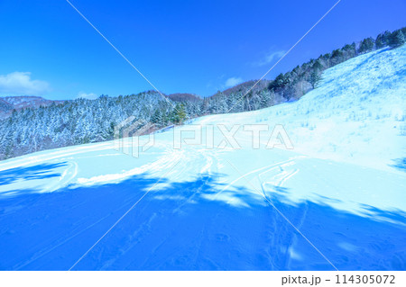 青空と新雪のゲレンデ 青空と新雪のゲレンデ 114305072