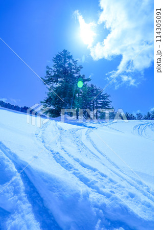 青空と新雪のゲレンデ 青空と新雪のゲレンデ 114305091
